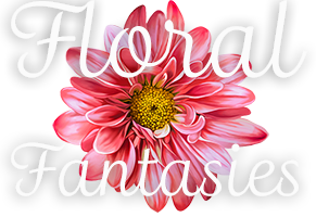 Floral Fantasies